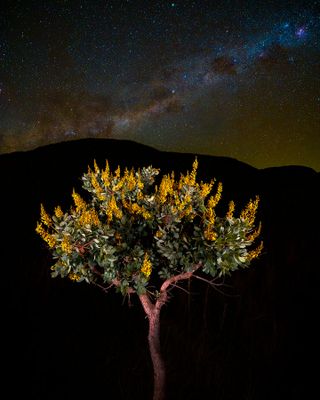 _MG_0907-copiar-copiar.jpg