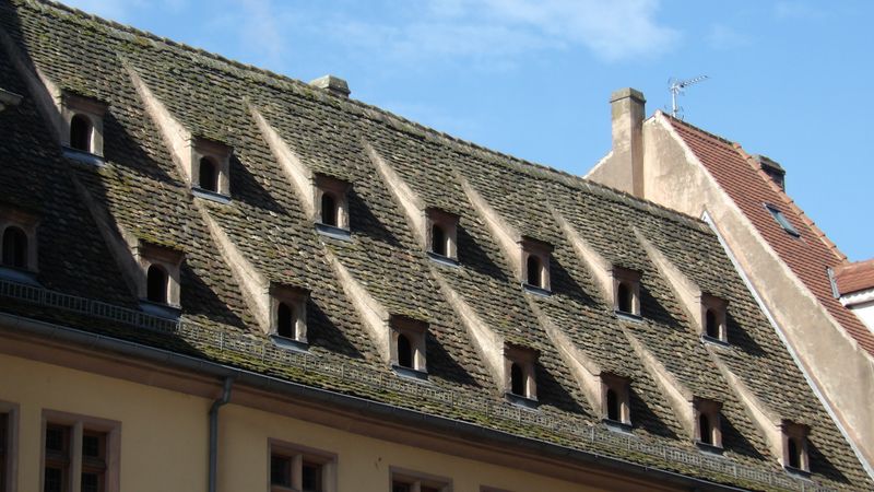 Rhein25_624.JPG