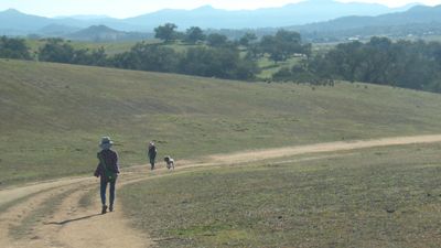 Ramona22_210.JPG