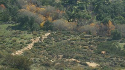Ramona22_611.JPG