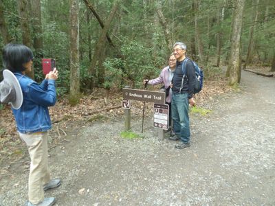 Endless Wall Trail 
3.15mi