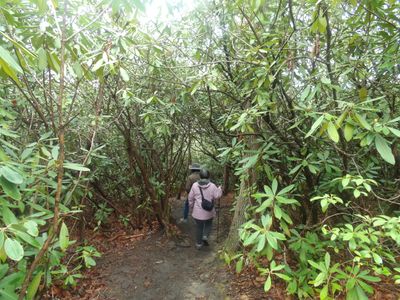 Long Point Trail
3.15mi