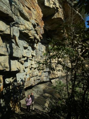 Castle Rock Trail
1.45mi