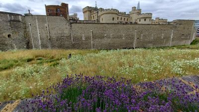 Tower of London