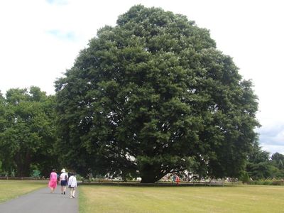 London23_7076.JPG