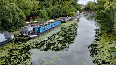 Little Venice