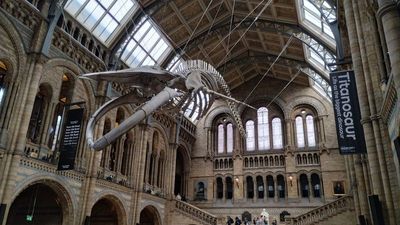 London23_a013.jpg