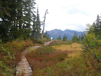 Glacier23_6082.JPG