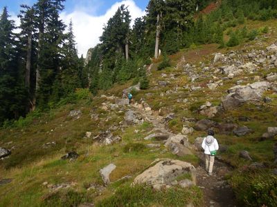 Glacier23_4012.JPG