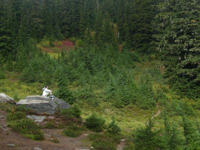 Glacier23_4044.JPG