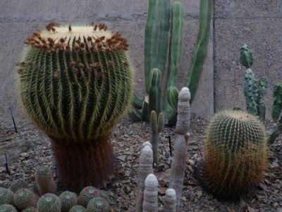 AU23_1063.JPG