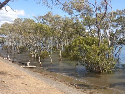 Nudgee Beach
