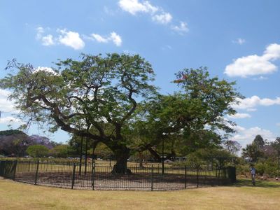New Farm Park