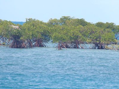 AU23_6051.JPG