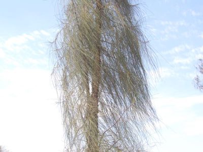 AU23_9162.JPG