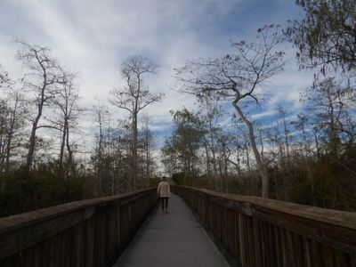 Kirby Storter Roadside Park