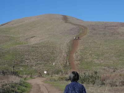 Point Sal Trail, Guadalupe