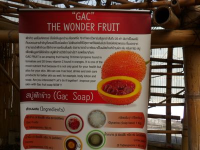 ChiangMai24_4025.JPG