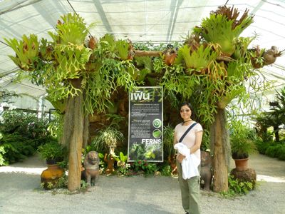 ChiangMai24_4045.JPG