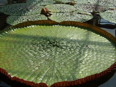 ChiangMai24_4057.JPG