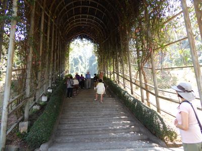 ChiangMai24_4076.JPG