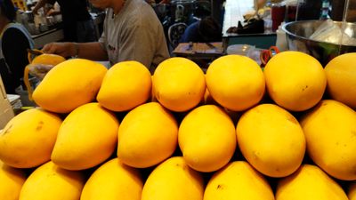 ChiangMai24_5059.jpg