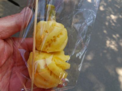 ChiangMai24_6077.JPG