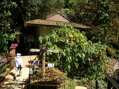 ChiangMai24_7062.JPG