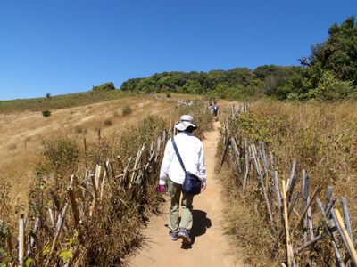 ChiangMai24_7108.JPG