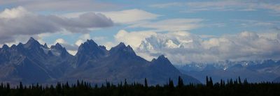 Denali NP
click here