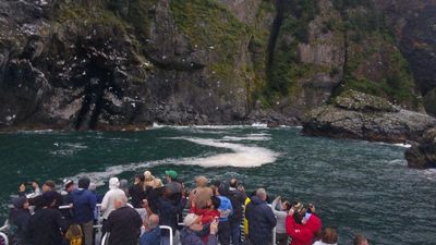 Major Marine Tours