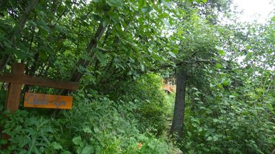 Bonanza Mine Trail