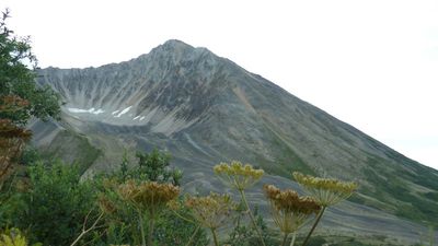 AK24_9006.JPG