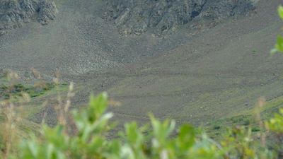 AK24_9038.JPG