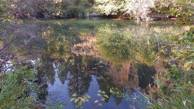 Redmond24_210.JPG