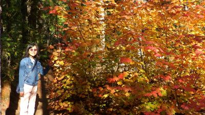 Redmond24_312.JPG