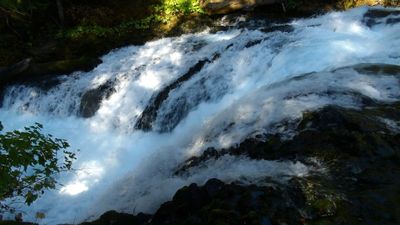 Redmond24_328.JPG