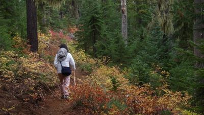 Redmond24_409.JPG