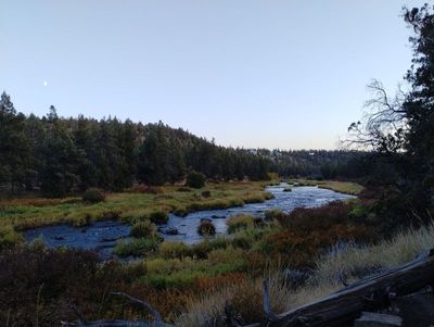 Redmond24_784.jpg
