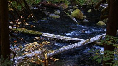 Redmond24_305.JPG