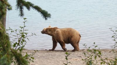 AK24_2147.JPG