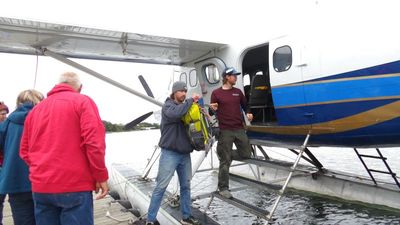 Return to King Salmon