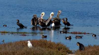 Carlsbad24_439.JPG