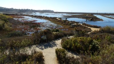 Carlsbad24_446.JPG