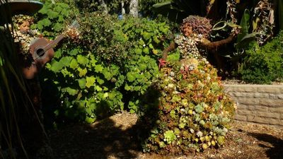 Carlsbad24_457.JPG