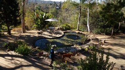 Alta Vista Botanical Gardens, Vista
