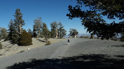 LV24_314.JPG