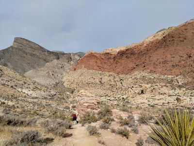 LV24_408.jpg
