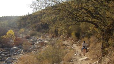 Tucson25_246.JPG