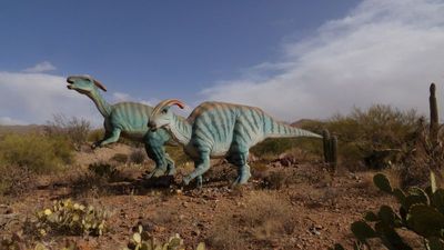 Arizona-Sonora Desert Museum